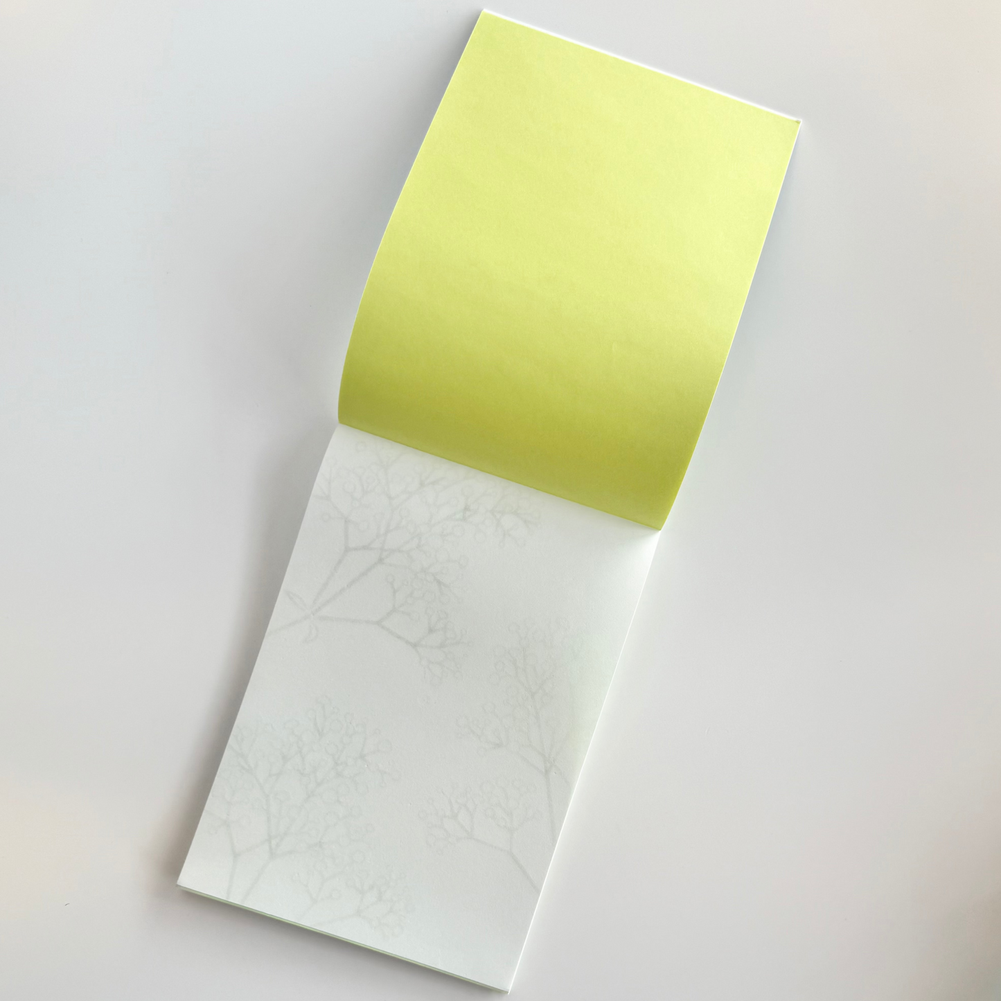 MIDORI | WATERMARK GYPSOPHILA / BABY BREATH A5 LETTER PAD