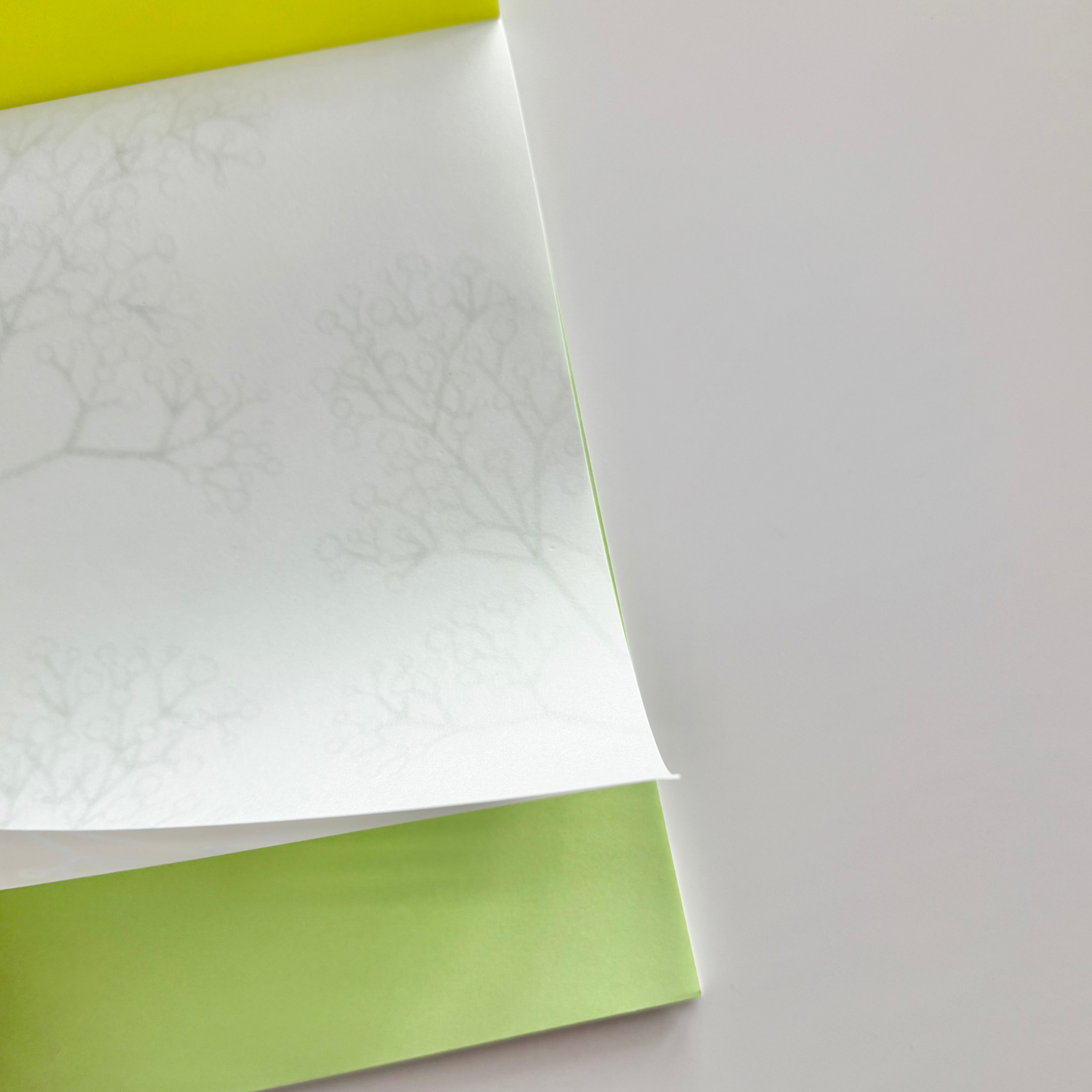 MIDORI | WATERMARK GYPSOPHILA / BABY BREATH A5 LETTER PAD