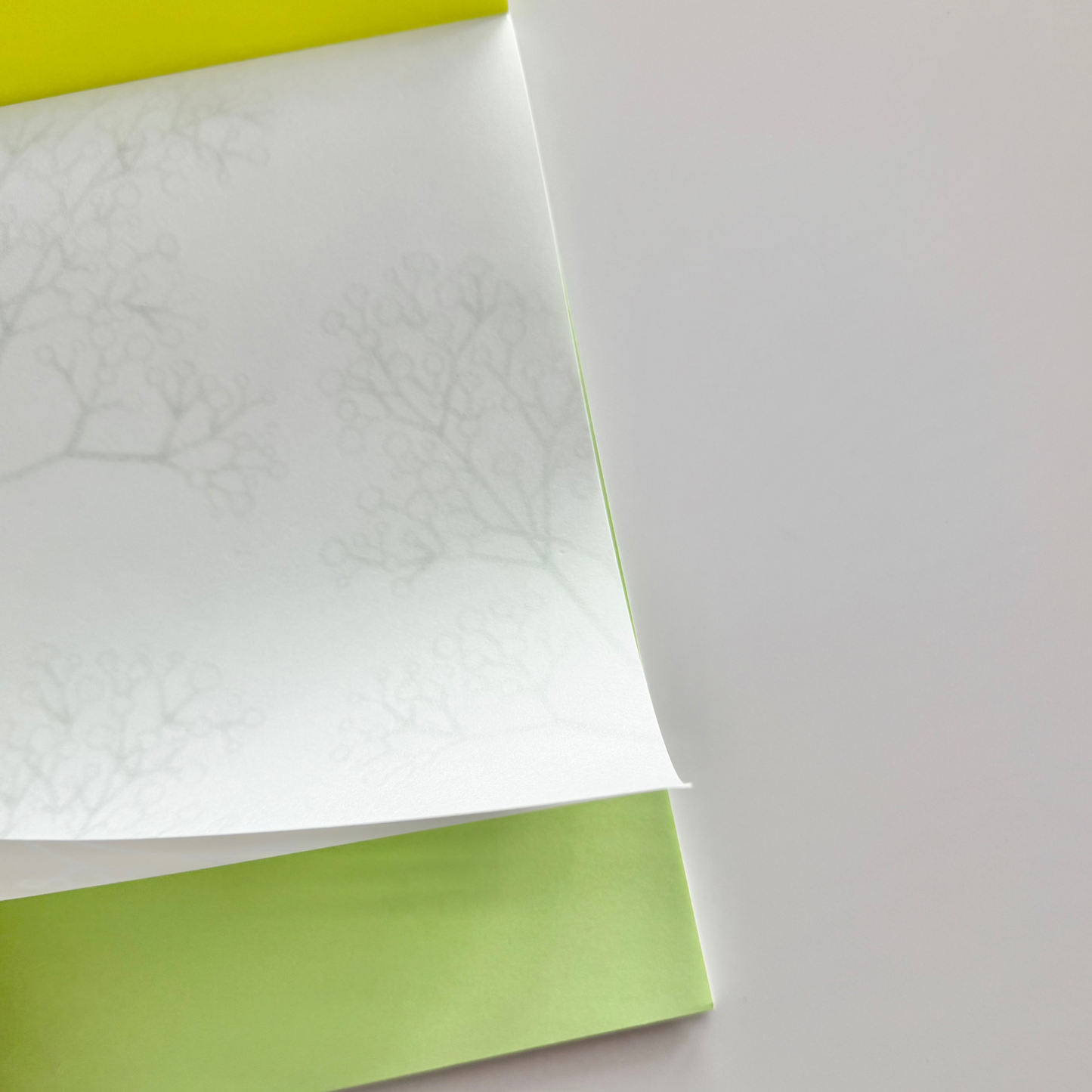 Close-up of textured white paper with a green corner