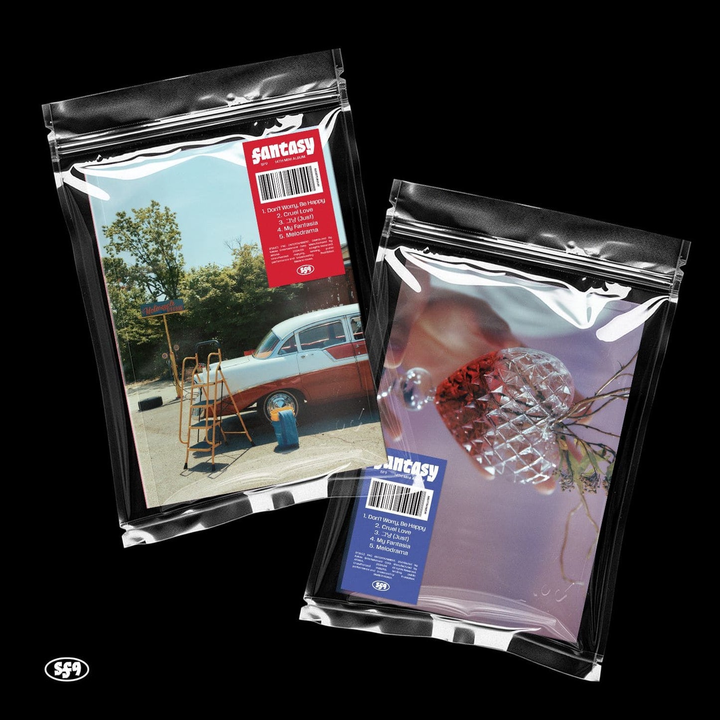 Two packaged albums with visible covers, one depicting a car and construction, and the other with a close-up of a pine cone. Both are encased in plastic sleeves.