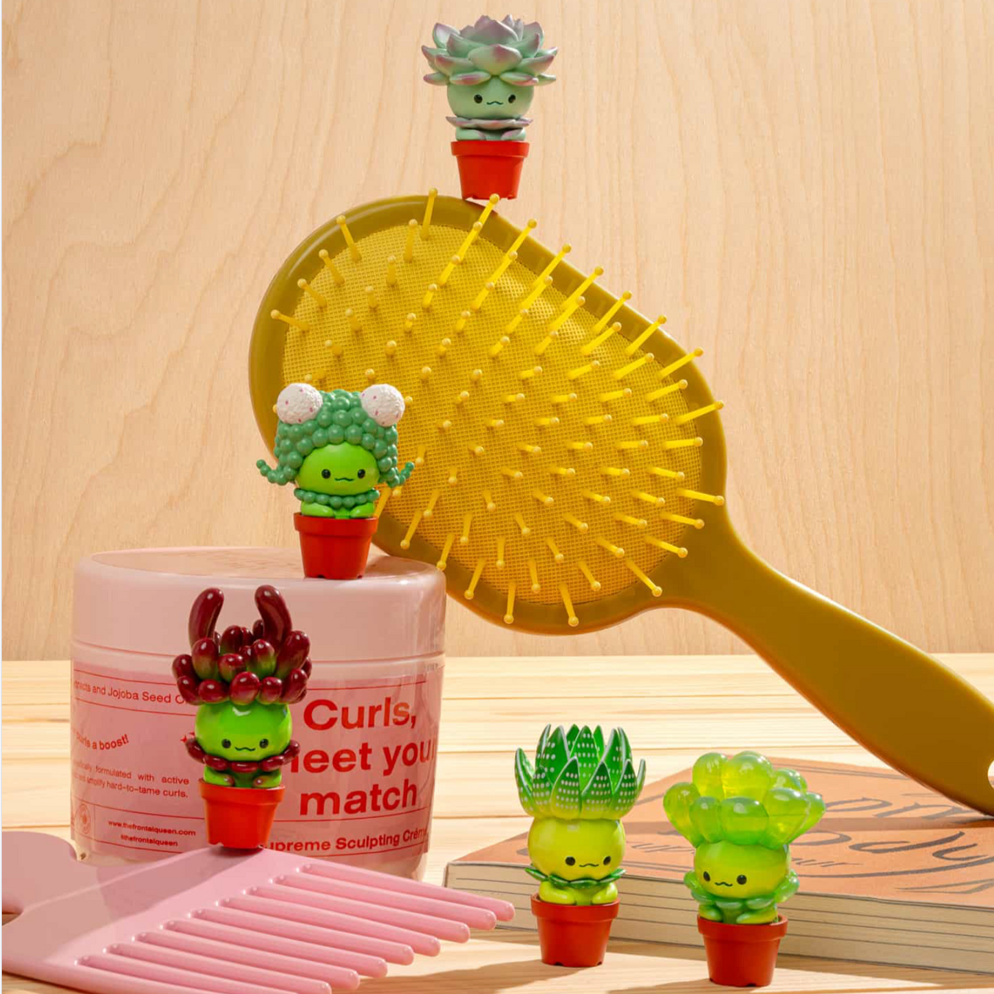 Succulent Friends Blind Box