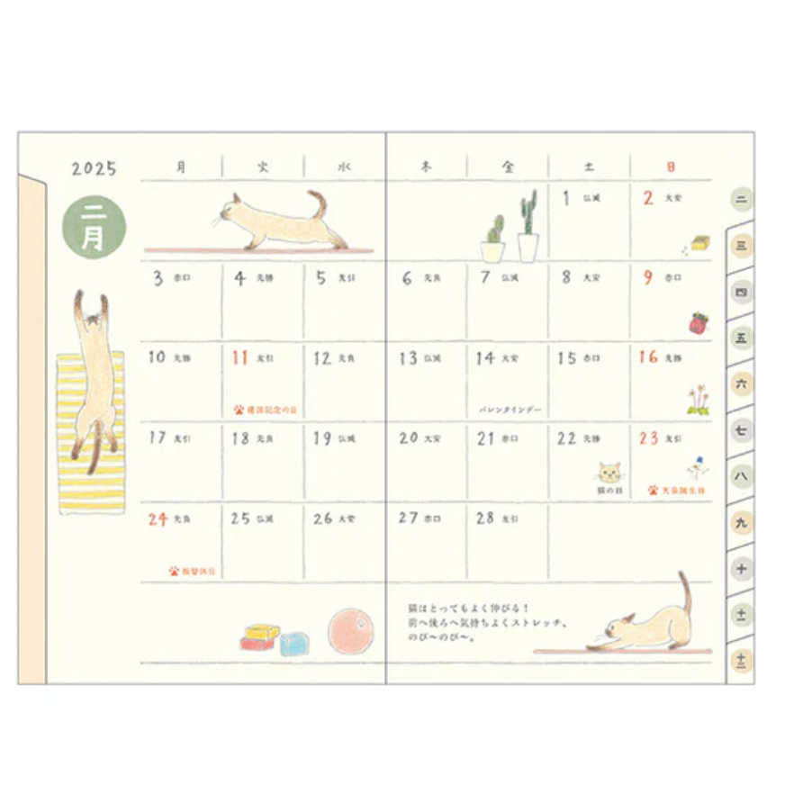 MIDORI | 2025 POCKET DIARY - MINI CAT