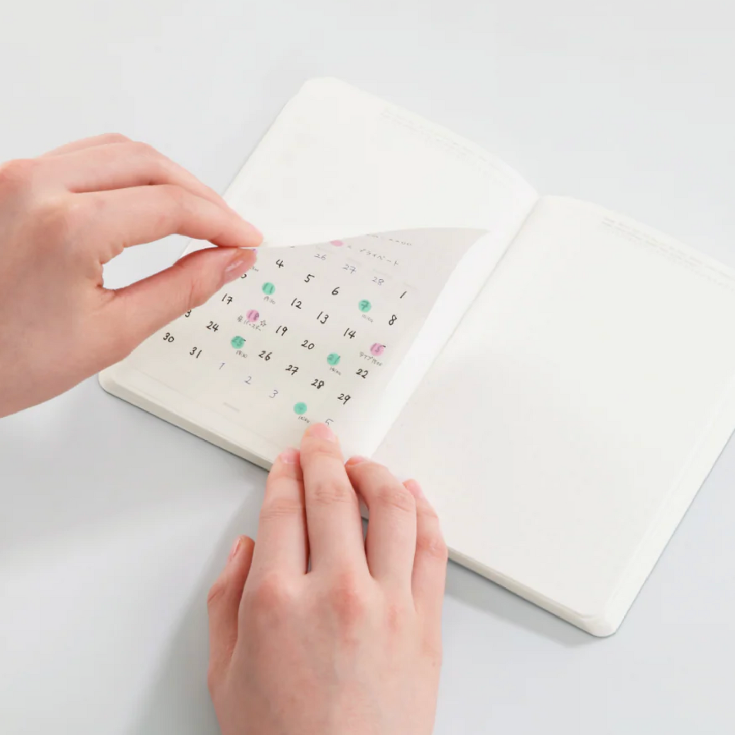 REMOVABLE CALENDAR STICKER MONTHLY M 10 SHEET