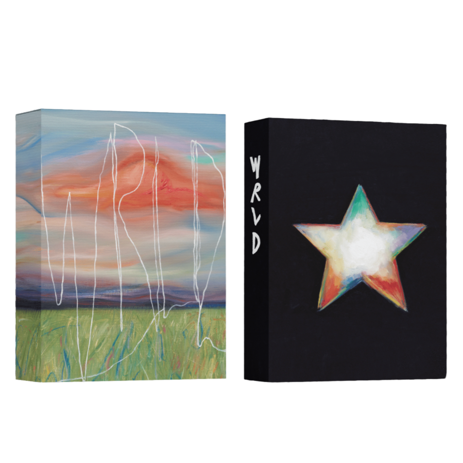 Two albums with different prints with abstract designs on a white background