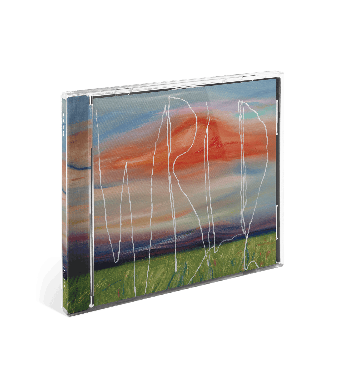 A jewel case CD/DVD cover featuring a black background with a prominent multicolored design with ' WRLD" text in the center.