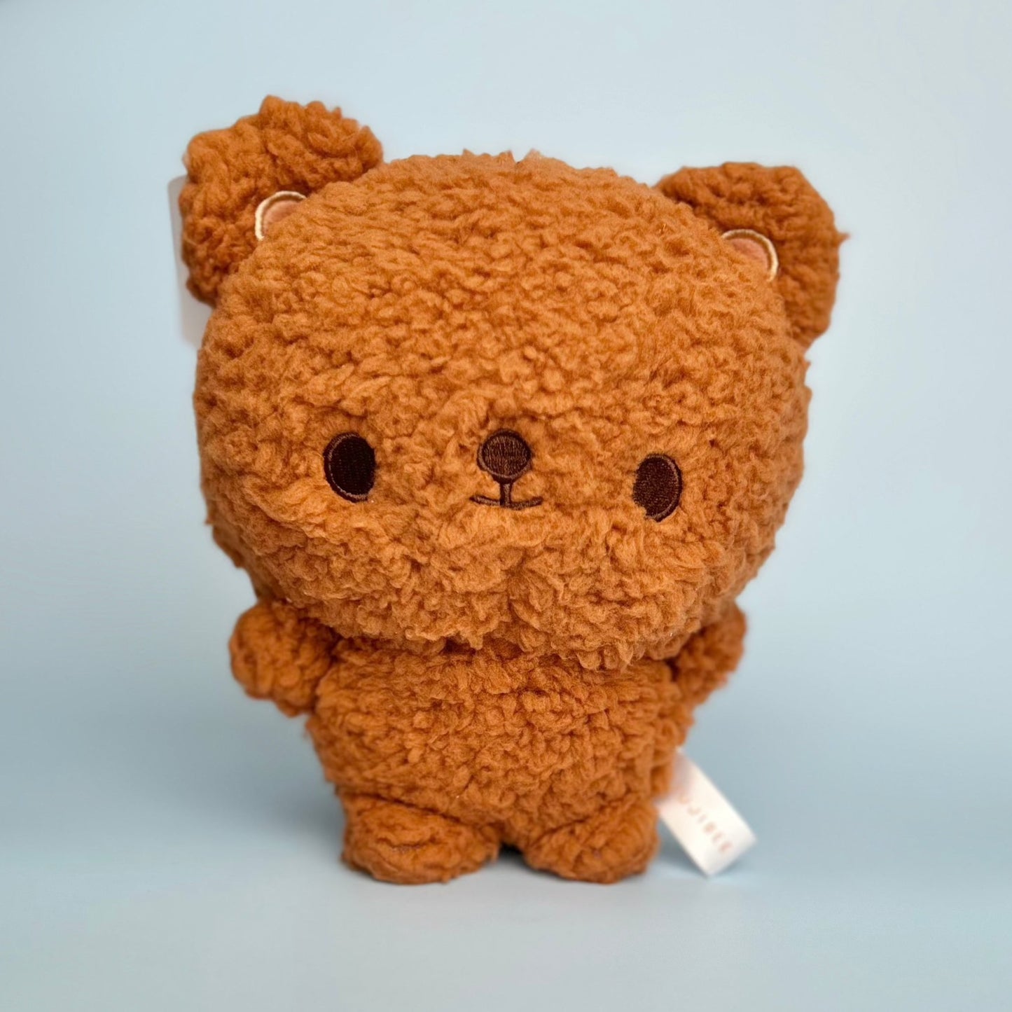 Teddy Plushy