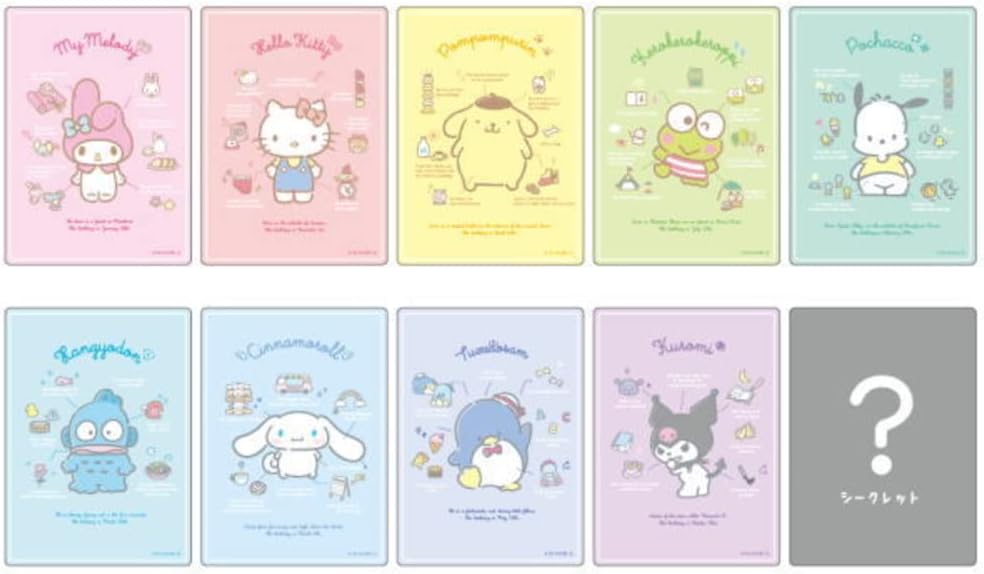 Sanrio Character Clear Card Keychain Blind Box