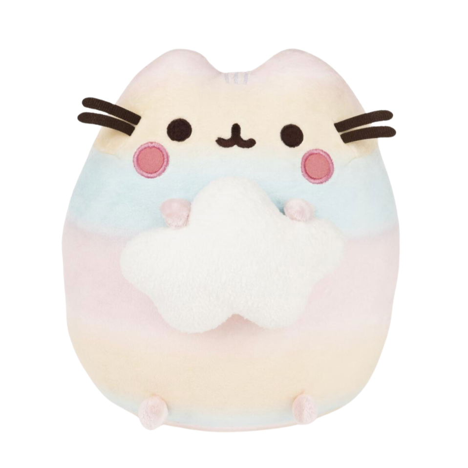 RAINBOW OMBRE PUSHEEN