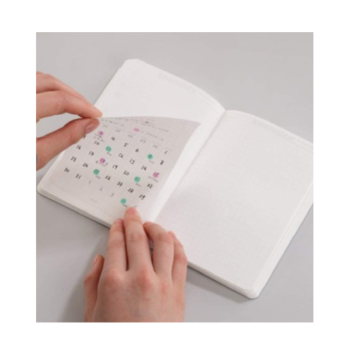 REMOVABLE CALENDAR STICKER MONTHLY S 10 SHEET