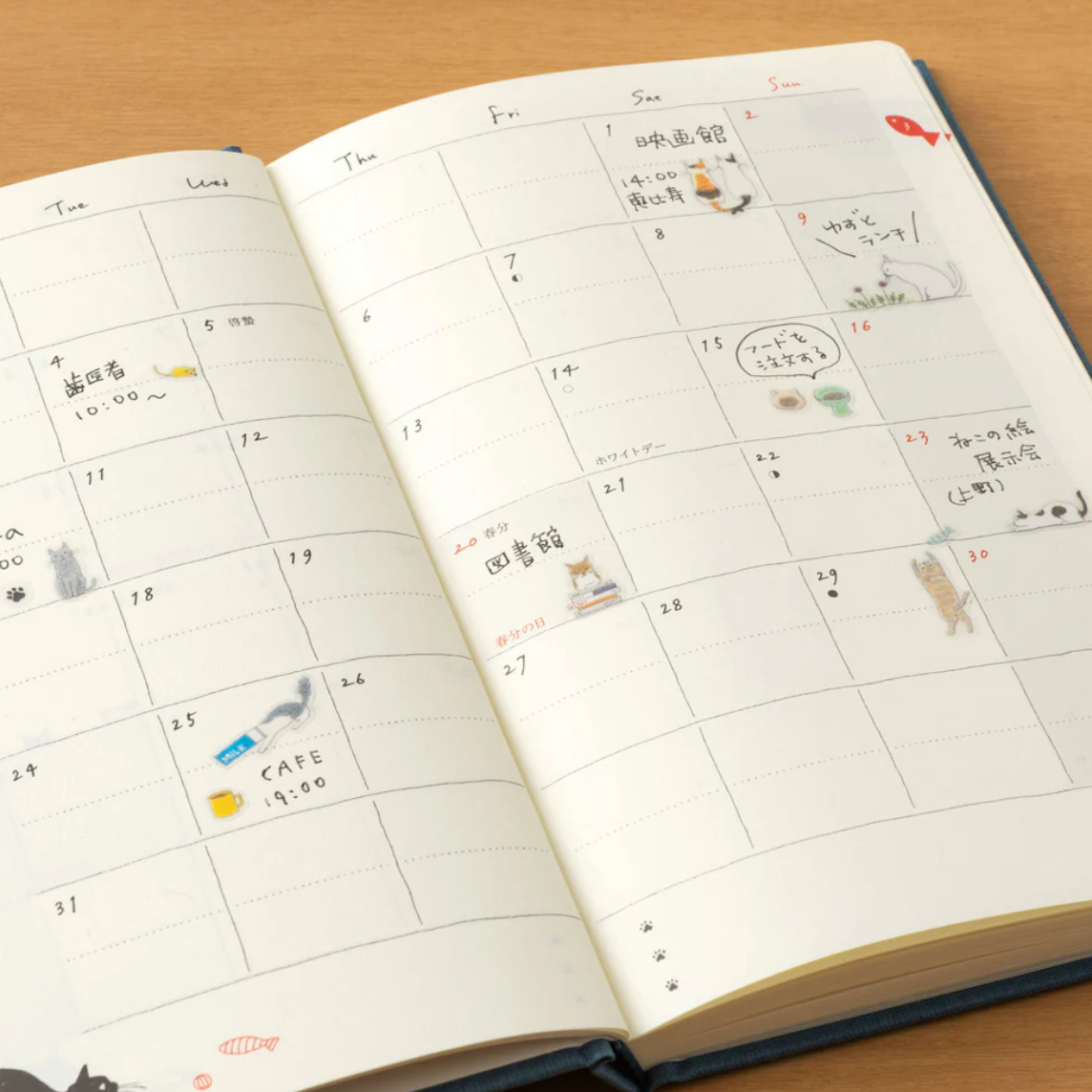 MIDORI | STICKER - CAT