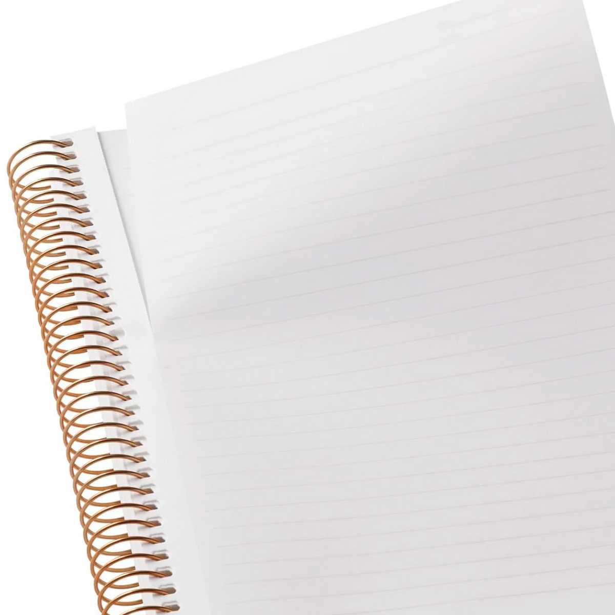 A close-up of a white lined spiral notebook with a metallic gold wire binding, shown on a clean white background.