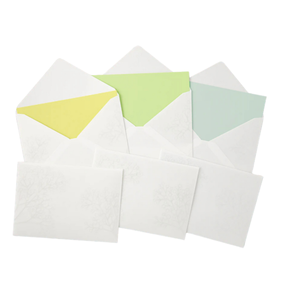 MIDORI | WATERMARK GYPSOPHILA / BABY BREATH ENVELOPE